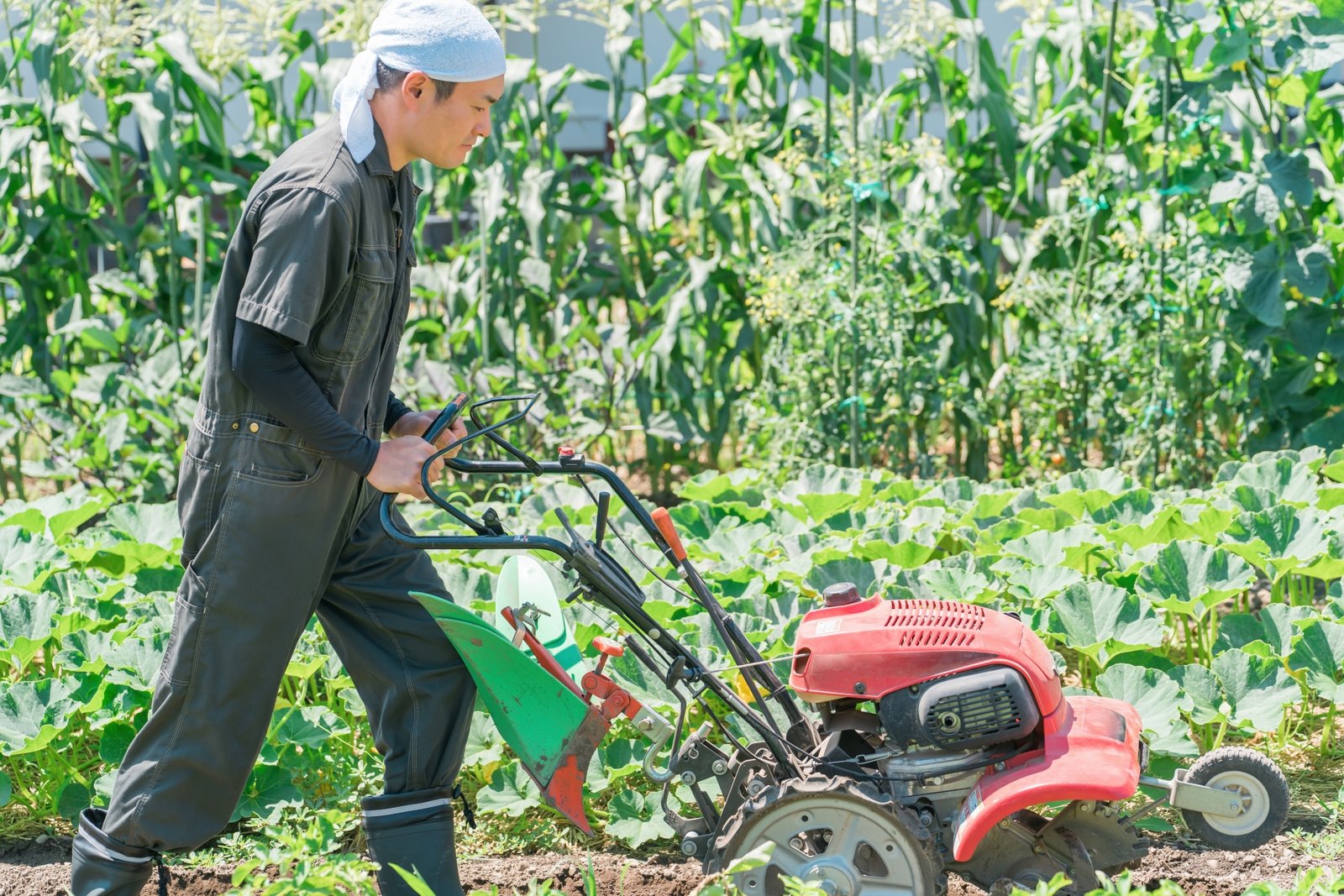 【2026年版】農業補助金の種類と申請のポイント