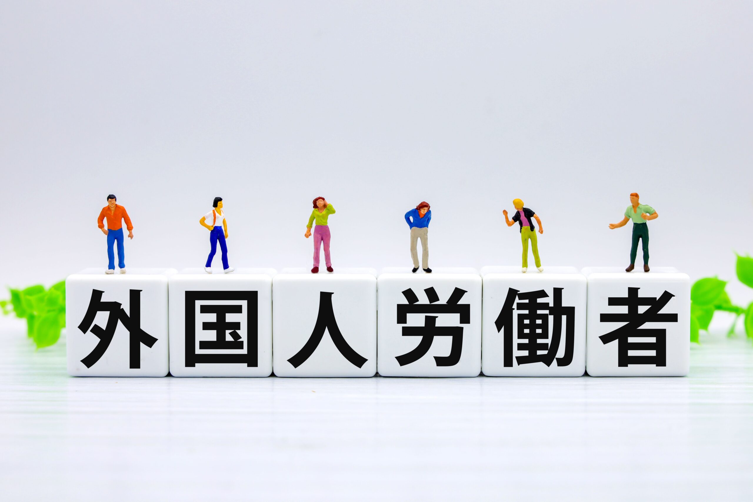 【2026年最新】特定技能の対象分野は全19分野に拡大！最新の受入れ要件・注意点を徹底解説
